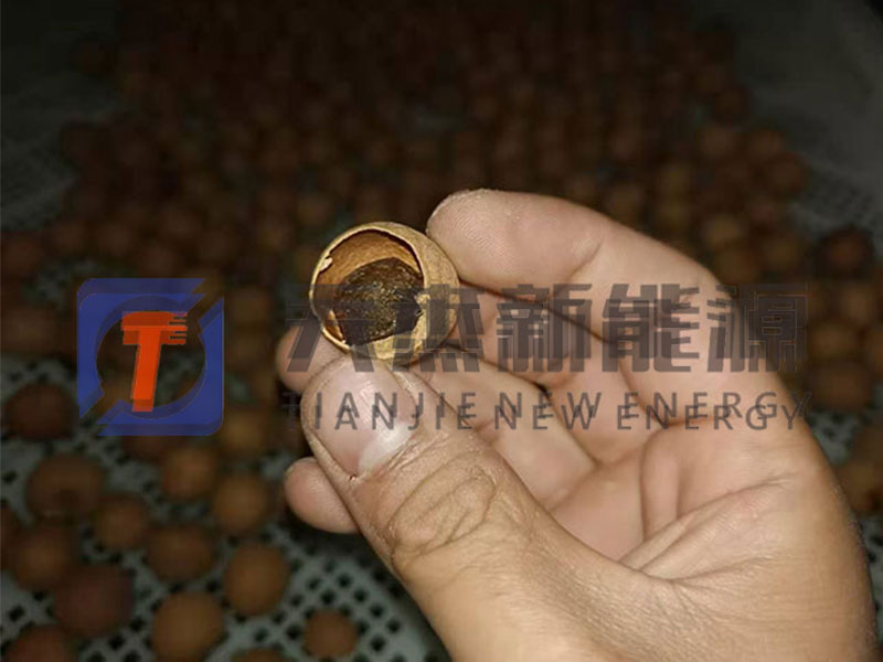 延邊龍眼烘干機(jī)客戶實(shí)拍現(xiàn)場